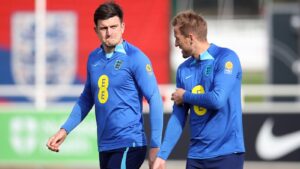 สนับสนุนแฮร์รี่